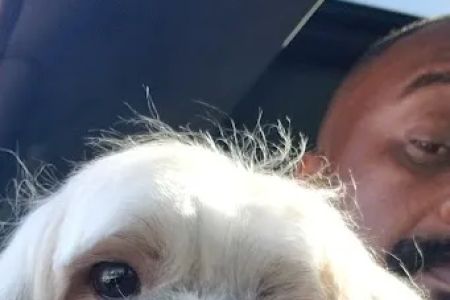 Blythewood Animal Hospital