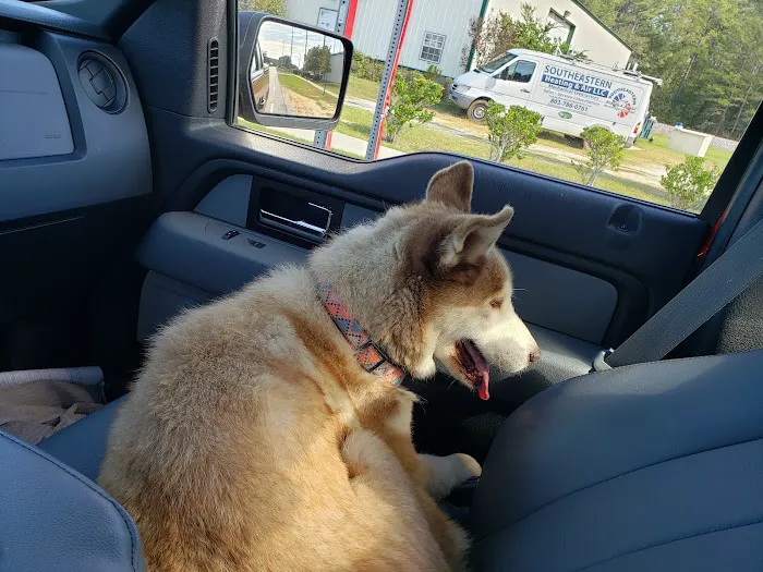 Blythewood Animal Hospital 12