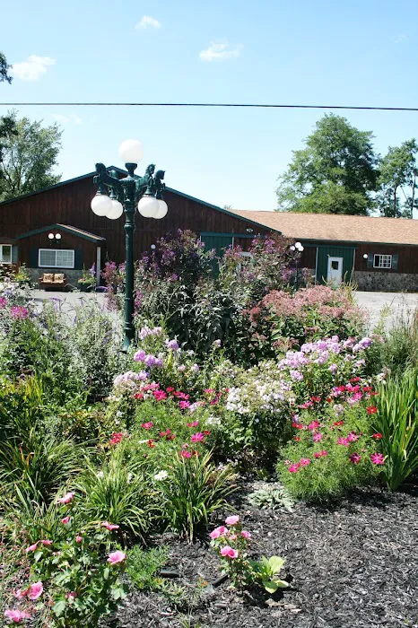 Morgan Equine Veterinary & Farrier Services 1