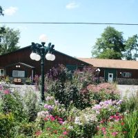 Morgan Equine Veterinary & Farrier Services ico