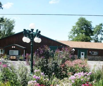 Morgan Equine Veterinary & Farrier Services