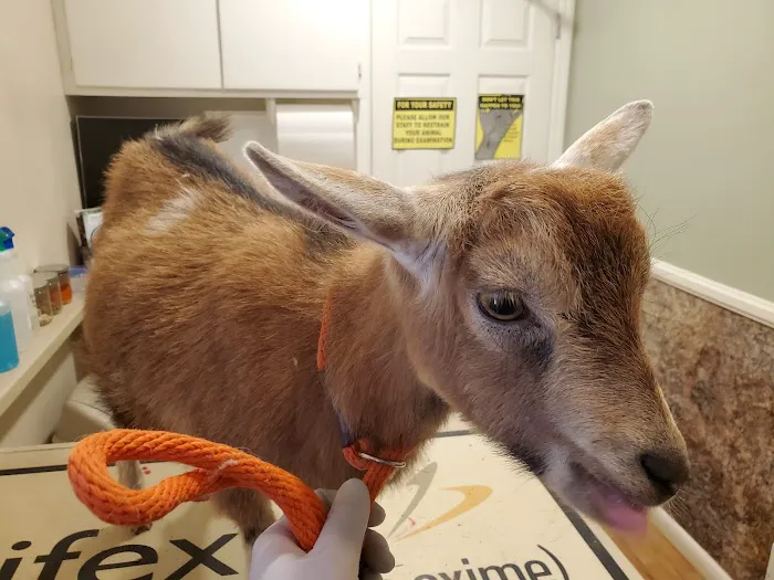 Twin Oaks Animal Hospital 12