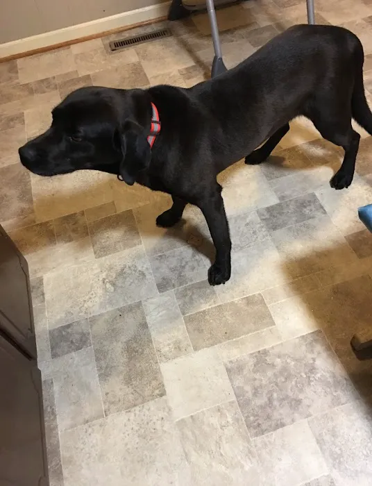 Twin Oaks Animal Hospital 12