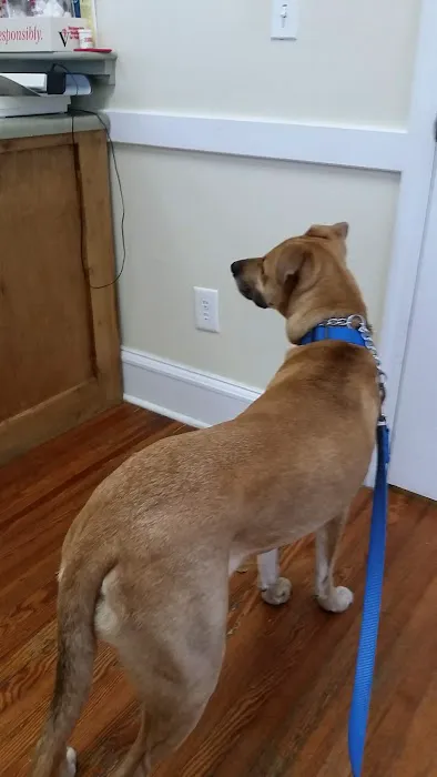 Edgefield Veterinary Clinic 12
