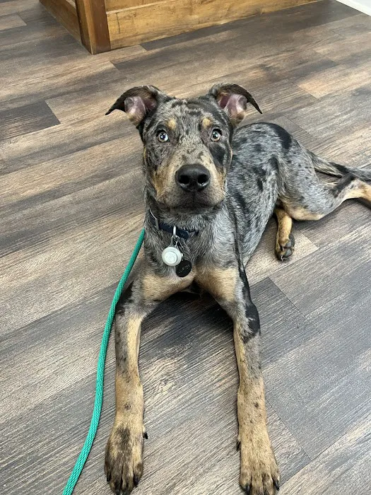 Edgefield Veterinary Clinic 12