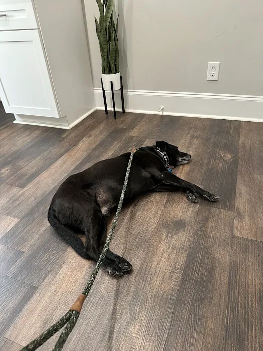 Edgefield Veterinary Clinic 12