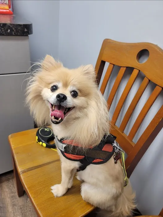 Mid-Carolina Animal Hospital 7