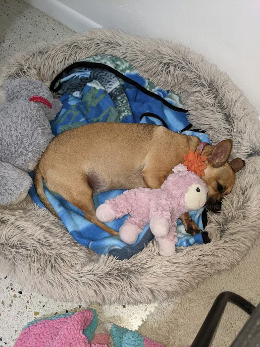 Mid-Carolina Animal Hospital 10