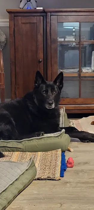 Mid-Carolina Animal Hospital 5