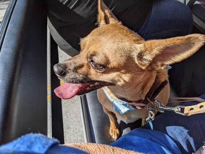 Mid-Carolina Animal Hospital 9