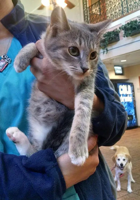 Metairie Small Animal Hospital - Kenner Clinic 5