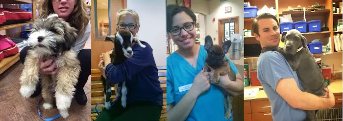 Metairie Small Animal Hospital - Kenner Clinic 4