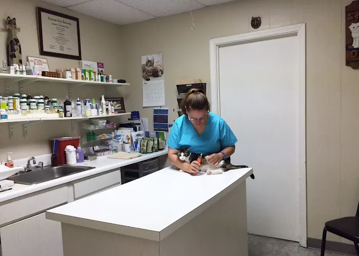 Metairie Small Animal Hospital - Kenner Clinic 8