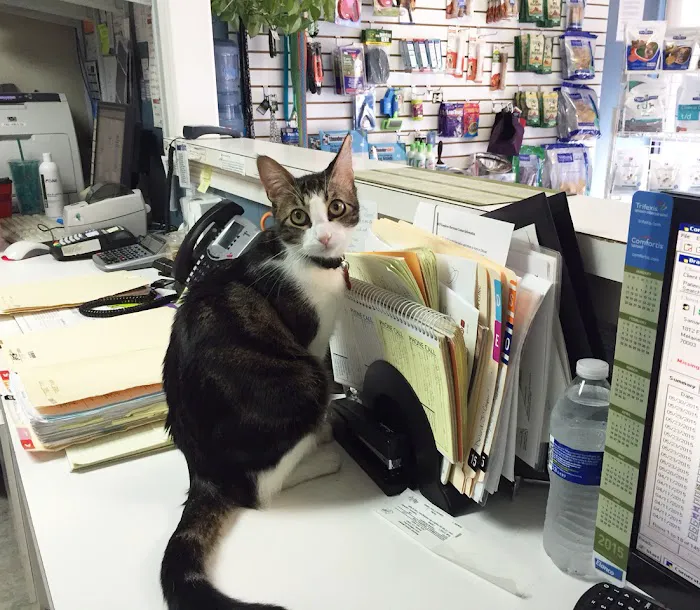 Metairie Small Animal Hospital - Kenner Clinic 6