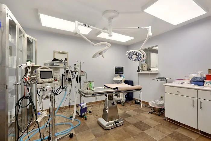 Chateau Veterinary Hospital 6