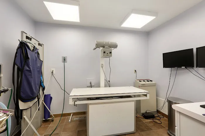 Chateau Veterinary Hospital 5