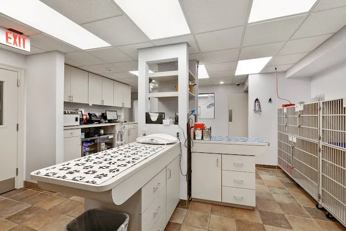 Chateau Veterinary Hospital 4