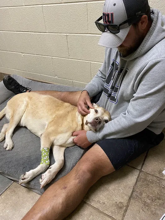 Animal Medical Center 12
