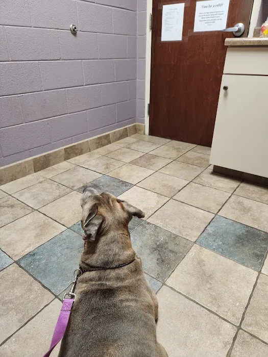Animal Medical Center 12