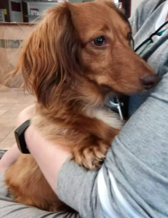 Animal Medical Center: Alexander Kathy DVM 12