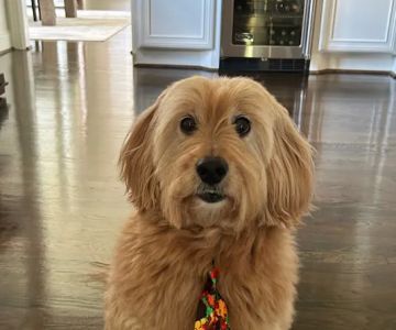 Clovercroft Veterinary Hospital