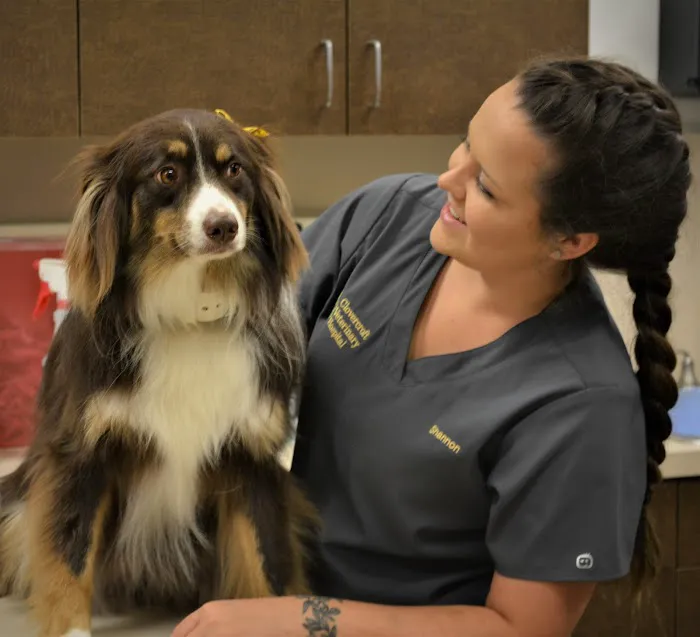 Clovercroft Veterinary Hospital 12