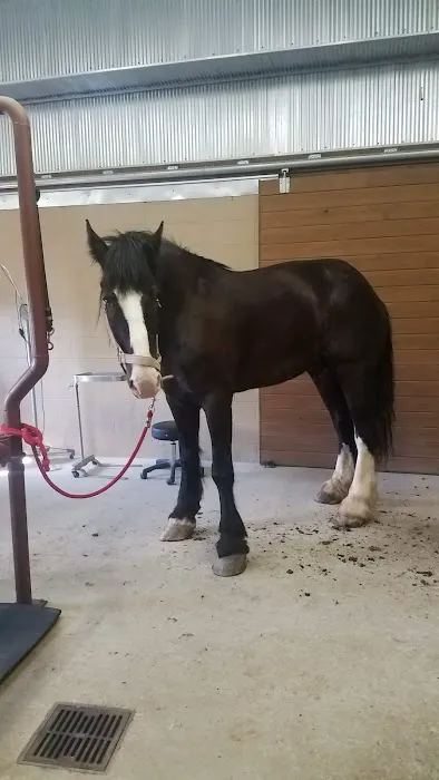 Franklin Equine Services LLC 12