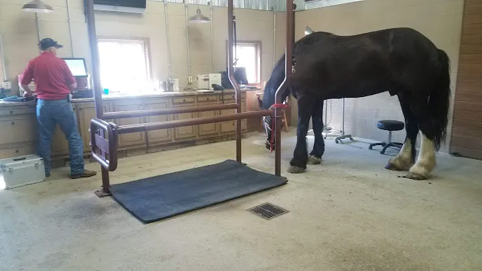 Franklin Equine Services LLC 12