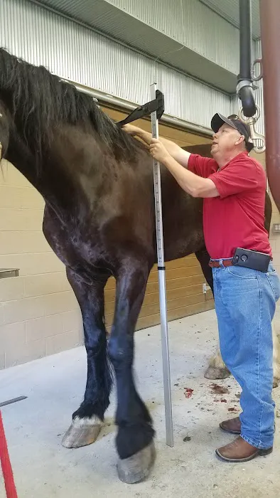 Franklin Equine Services LLC 12