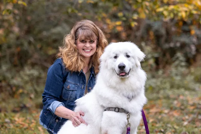 Carothers Parkway Veterinary Clinic 12