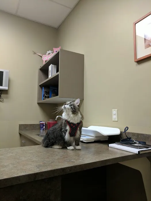 Carothers Parkway Veterinary Clinic 12