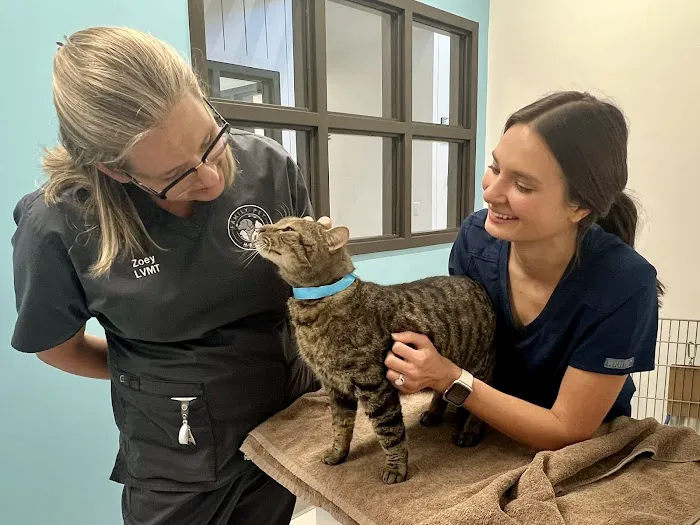 Family Pet Health 12