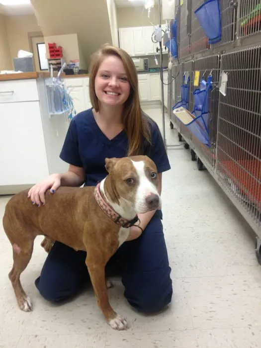 Barfield Animal Hospital 12