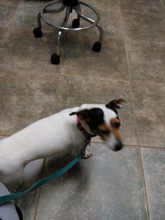 Barfield Animal Hospital 12