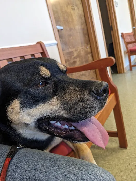 Savannah's Crossing Veterinary Hospital 12