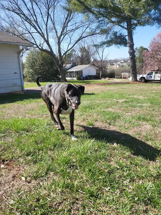 Savannah's Crossing Veterinary Hospital 12