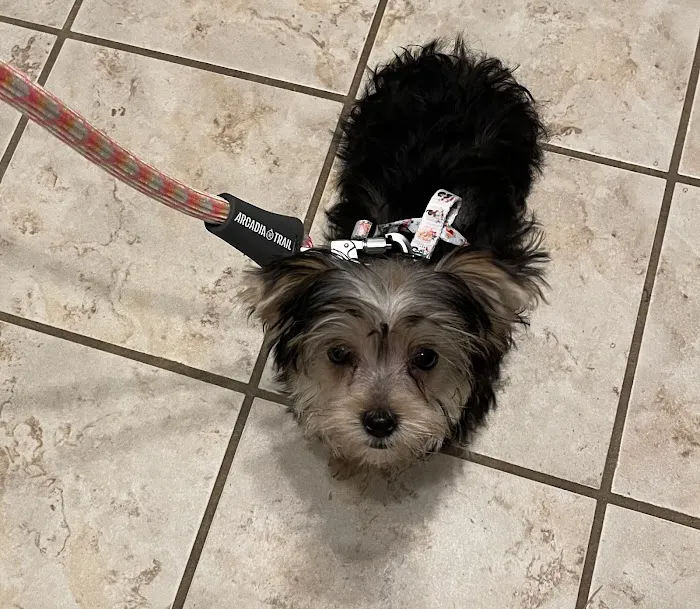 Banfield Pet Hospital 12