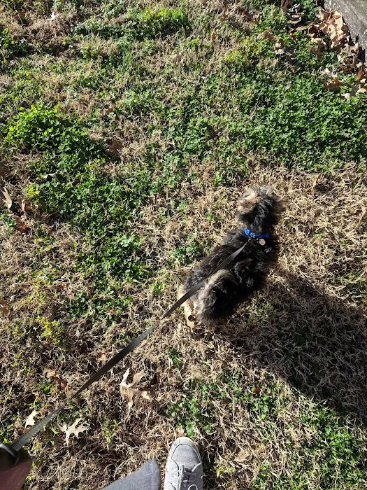 Cool Springs Animal Hospital 12
