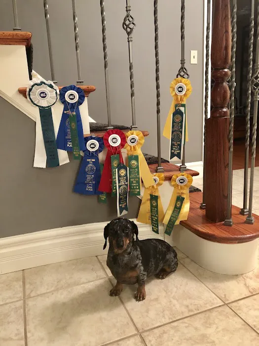 Tennessee Veterinary Dentistry & Oral Surgery, LLC 12