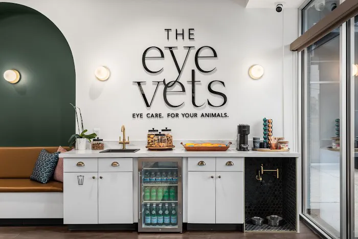 The Eye Vets 12
