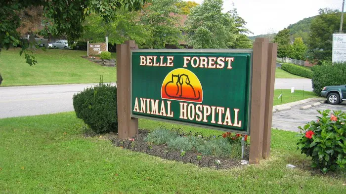 Belle Forest Animal Hospital 12
