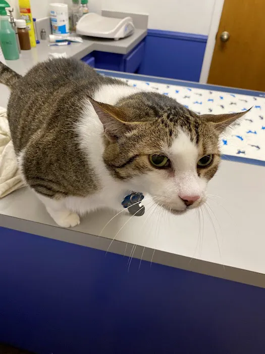 Alamo Area Veterinary Clinic 12