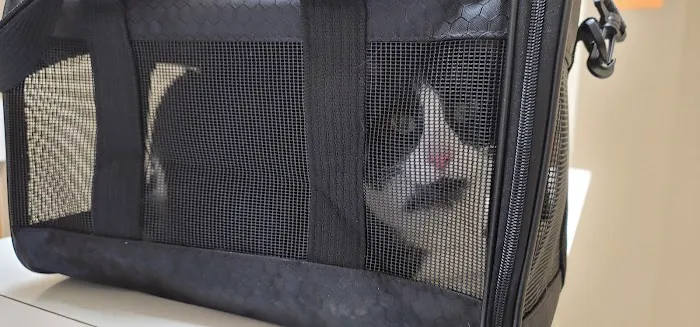 Castroville Veterinary Clinic 3