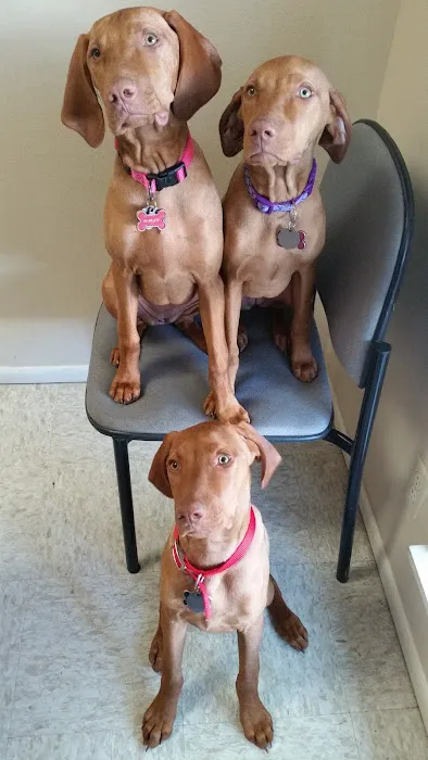 Castroville Veterinary Clinic 8