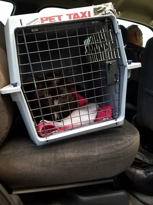 Castroville Veterinary Clinic 4