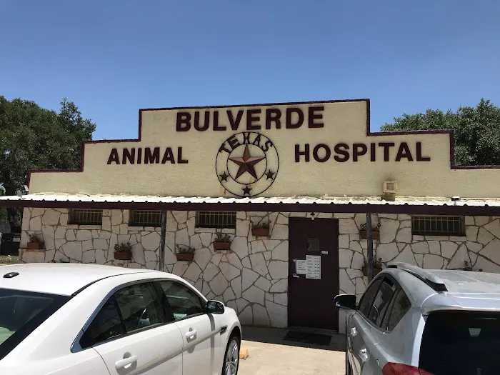 Bulverde Animal Hospital 12