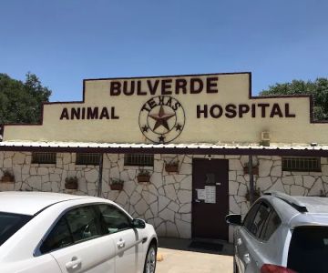 Bulverde Animal Hospital