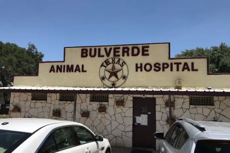 Bulverde Animal Hospital