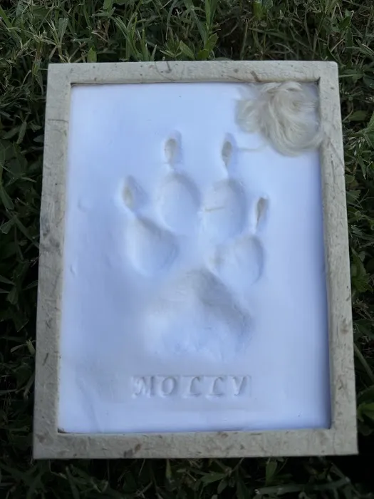 Stepping Stone Veterinary Care 12