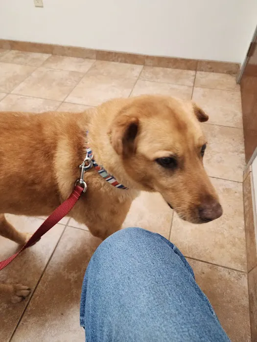 Country Hills Veterinary Clinic 12